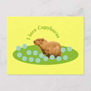 Ik hou van capibara's briefkaart