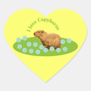 Ik hou van capibara's hart sticker
