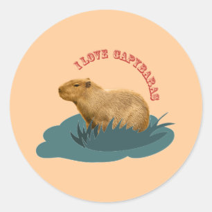 Ik hou van capibara's Knuffel capibara liefhebber Ronde Sticker