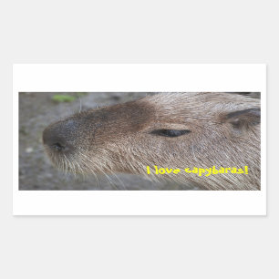 Ik hou van capibara's rechthoekige sticker