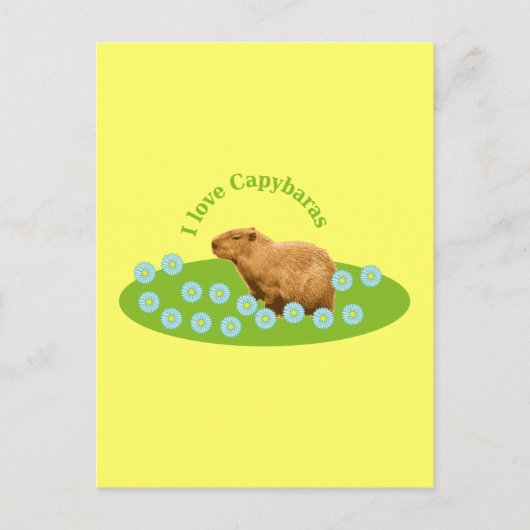 Ik hou van Capybaras Briefkaart (Voorkant)