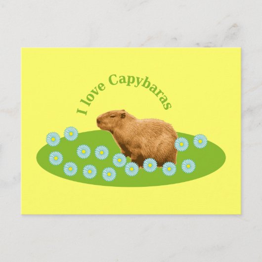 Ik hou van Capybaras Briefkaart (Voorkant)