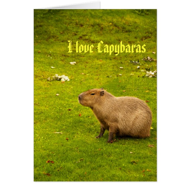 Ik hou van capybaras kaart (Voorkant)
