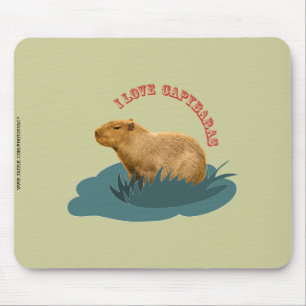 Ik hou van capybaras muismat