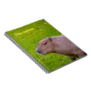 Ik hou van capybara's Notitieboekje Notitieboek