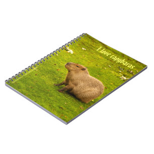 Ik hou van capybara's Notitieboekje Notitieboek