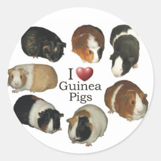 Ik hou van cavia Stickers