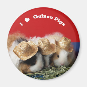 Ik hou van cavia's magneet