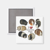 Ik hou van cavia's Magnet Magneet (Voorkant / Achterkant)