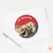 Ik hou van cavia's Stickers (Envelop)