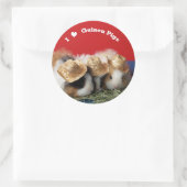 Ik hou van cavia's Stickers (Tas)