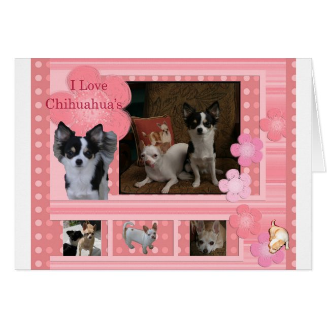 Ik hou van Chihuahuas (Voorkant Horizontaal)