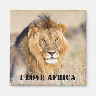 Ik hou van de foto van Africa Majestic Magneet
