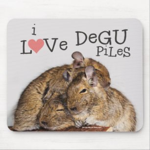 Ik hou van Degu Piles Muismat