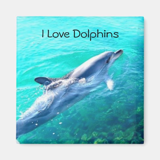 Ik hou van Dolphins Magnet Magneet (Voorkant)