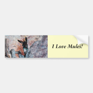 Ik hou van Donkeys! Bumpersticker