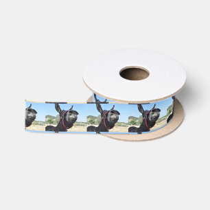 Ik hou van Donkeys! Lint