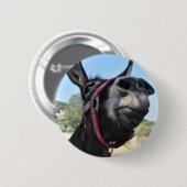 Ik hou van Donkeys! Ronde Button 5,7 Cm (Voorkant /achterkant)