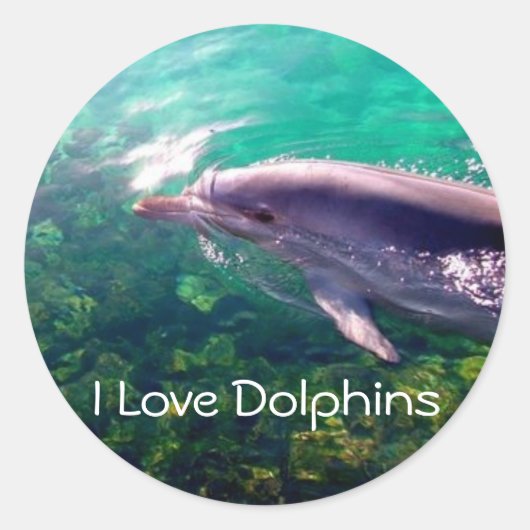 Ik hou van Dophins Sticker (Voorkant)