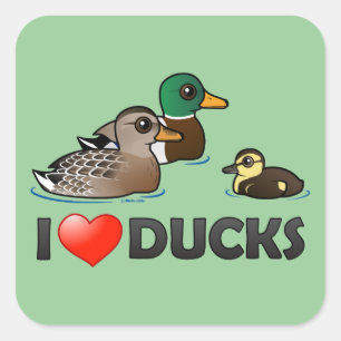 Ik hou van eenden vierkante sticker