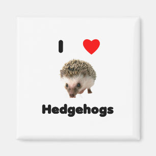 Ik hou van egel Magnet Magneet