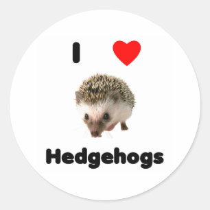 Ik hou van egel Sticker