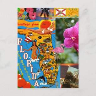 Ik hou van Florida Briefkaart