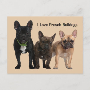Ik hou van Franse Bulldogs Briefkaart