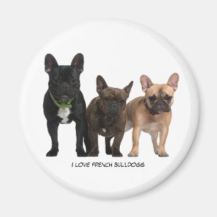 Ik hou van Franse Bulldogs Magneet