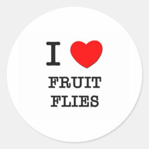 Ik hou van fruitvliegen ronde sticker