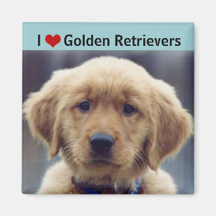 Ik hou van Golden Retrievers Cute Puppy Magneet