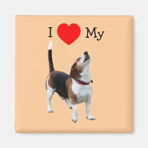 Ik hou van hart mijn Beagle Dog Magnet Magneet