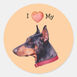 Ik hou van hart mijn doberman hond ronde sticker