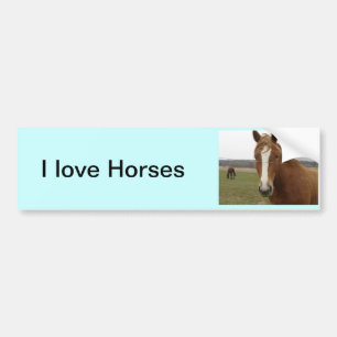 Ik hou van Horses Bumpersticker