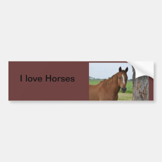 Ik hou van Horses Bumpersticker