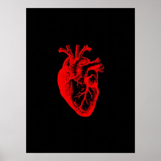 Ik hou van / ik hart anatomie poster (Voorkant)