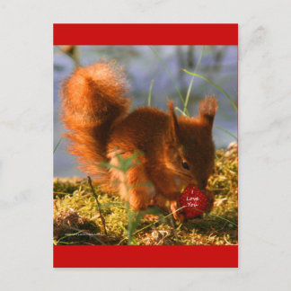 Ik hou van je aardbei briefkaart