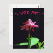 Ik hou van je briefkaart (Voorkant / Achterkant)