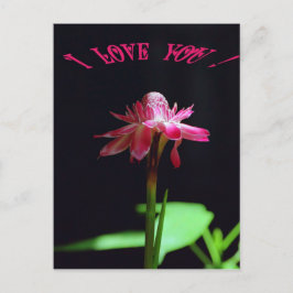 Ik hou van je briefkaart