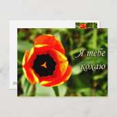 Ik hou van je briefkaart (Voorkant / Achterkant)