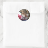 Ik hou van je kat Sticker (Tas)