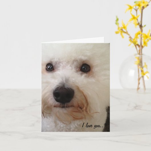 "Ik hou van je, meer!" Kaart (Gele Bloem)