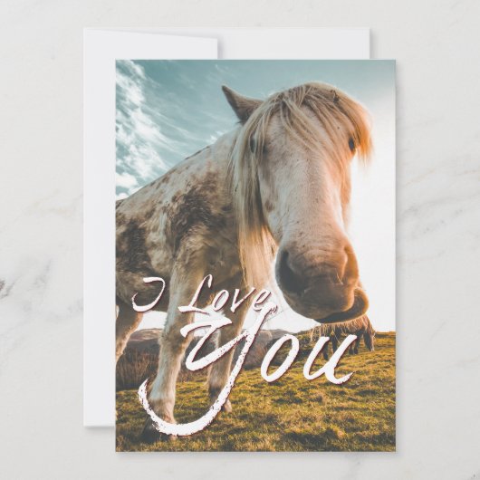 Ik hou van je met uitziende paarden (Voorkant)