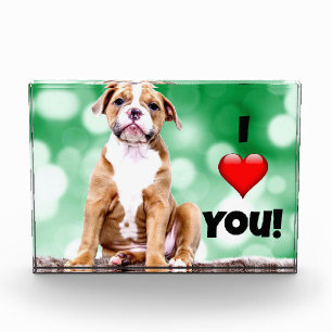 Ik hou van je, puppy foto, acrylfotoblok fotoblokken