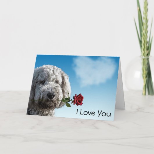 Ik hou van je rode Rose Kaart (Voorkant)