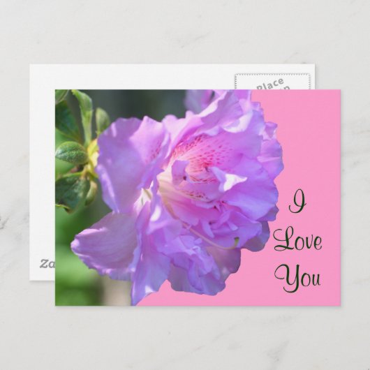 Ik hou van je roze Azalea Flower Photo Briefkaart (Voorkant / Achterkant)