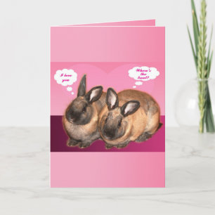 Ik hou van je valentijn twee konijntjes feestdagen kaart