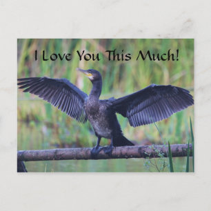 Ik hou van je zo veel - aalscholver briefkaart
