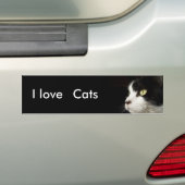 Ik hou van katten-bumper sticker (Op auto)