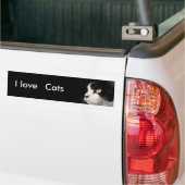 Ik hou van katten-bumper sticker (Op Truck)